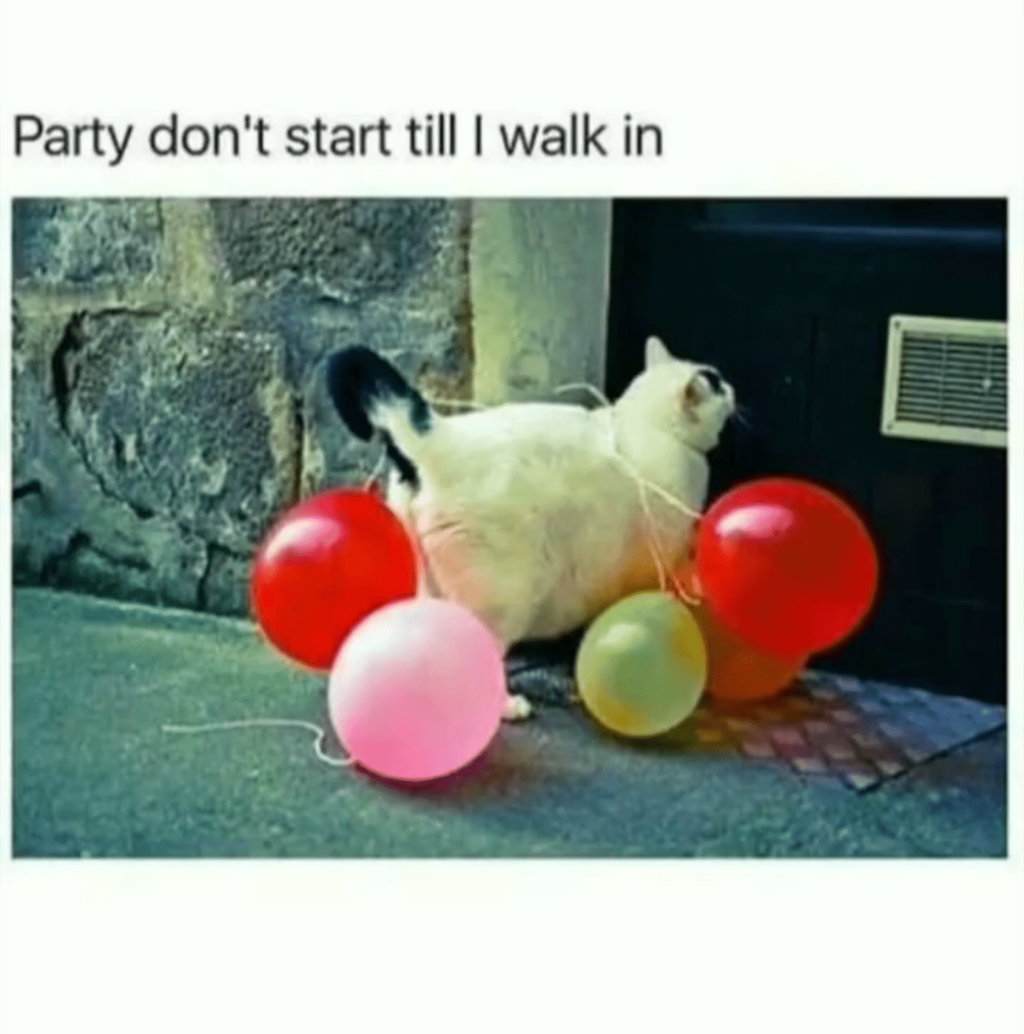 party don't stop